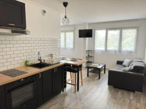 Luxurious and Stylish Studio Between Disney & Paris